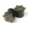 3/4" Black Dogwood Plugs with Ornate Silver