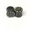 Black Dogwood Plugs with Coconut Dust Inlay - Style 7A