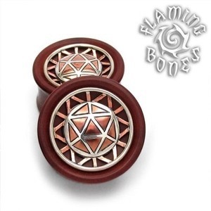 1" Icosahedron Collector Edition Plugs - Mixed Metal on RedWood