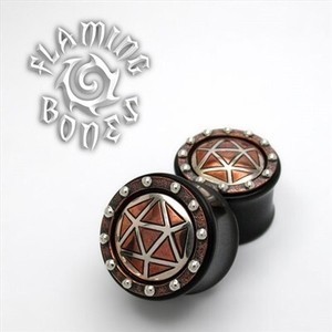 3/4" Icosahedron Collector Edition Plugs - Mixed Metal on BlackWood