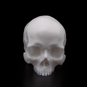 A Pound of Flesh - Silicone Synthetic Skull