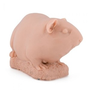 A Pound of Flesh  - Tattooable Synthetic Guinea Pig