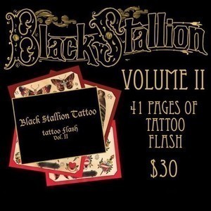 Black Stallion Volume 2