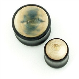 Black Water Buffalo Horn Plugs with Fossilized Mammoth Tusk