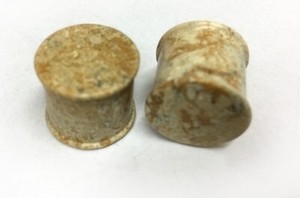 Classic Plugs in Fossilized Coral