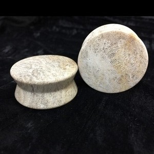 Hourglass Plugs in “Chocolate” Gold Fossilized Coral - 1-3/8"