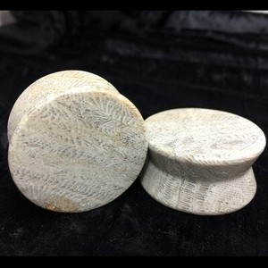 Hourglass Plugs in “Choke” Grey Fossilized Coral