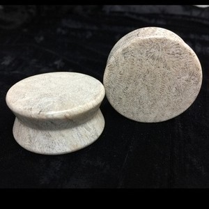 Hourglass Plugs in “Cream” Gold Fossilized Coral - 1-3/8"