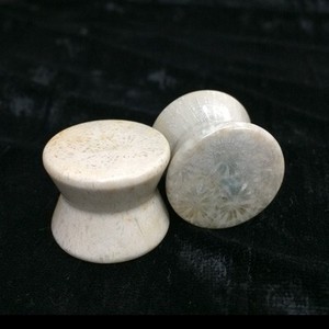 Hourglass Plugs in “Gem Quality” Grey Fossilized Coral