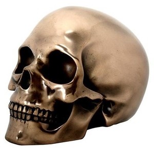 Matte Bronze Resin Skull