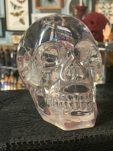 Translucent Resin Skull