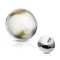 14g Internally Threaded Shell Inlayed Dome Dermal Tops